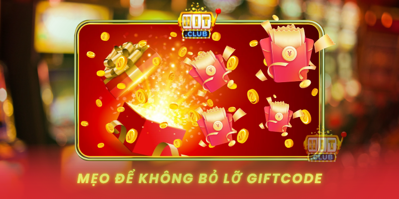 Meo De Khong Bo Lo Giftcode