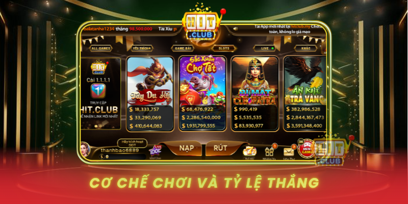 Co Che Choi Va Ty Le Thang